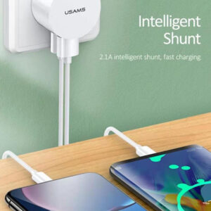 USams T20 Mini 2.0A Dual USB Adapter